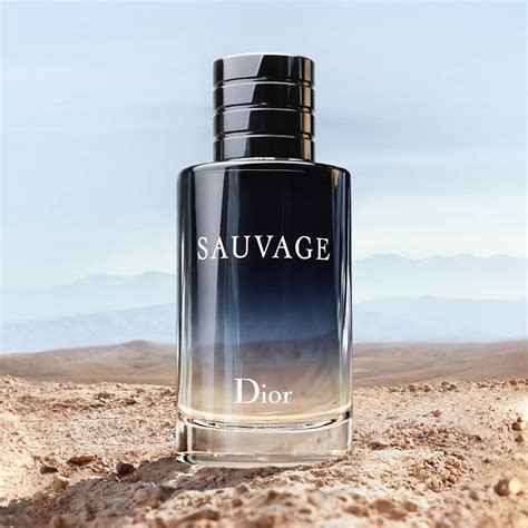 notes sauvage dior|Dior Sauvage types.